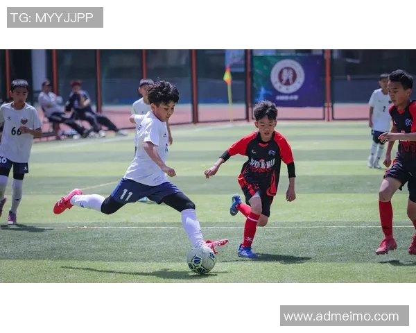 纳多：从青训到顶级联赛的足球传奇之路与成就